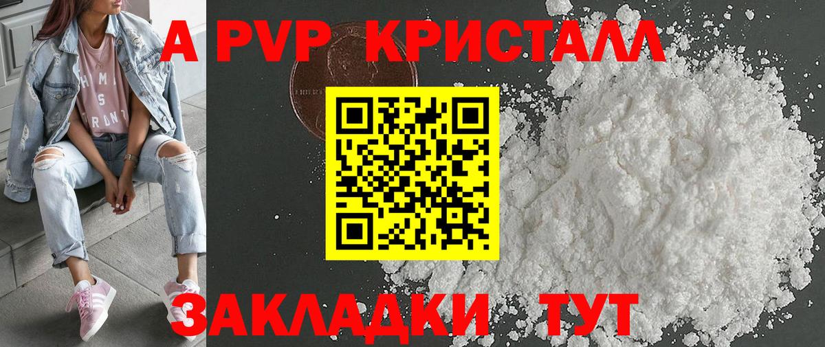 Альфа ПВП СК Шали