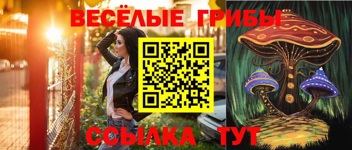 Шали  Псилоцибиновые грибы Magic Shrooms  магазин продажи   Вход с VPN 