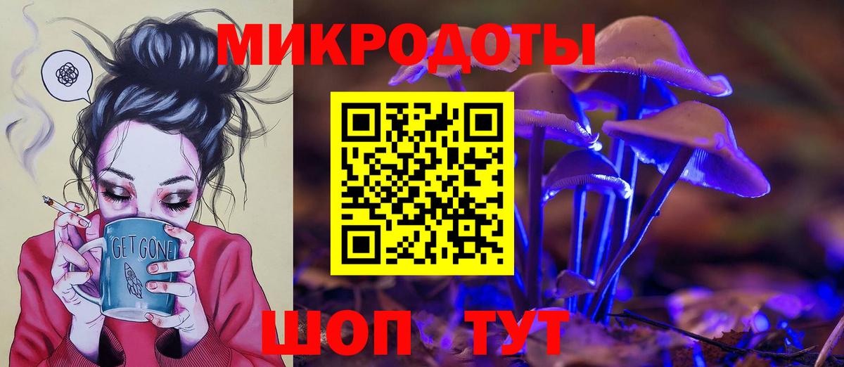 Галлюциногенные грибы Psilocybe Шали